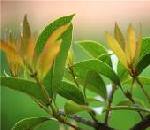 2017年高中春游摄影鉴赏选展